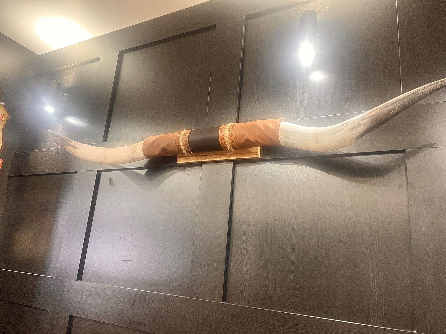 Brown Leather Mount // Standard Longhorns - Trapper – Skull Bliss