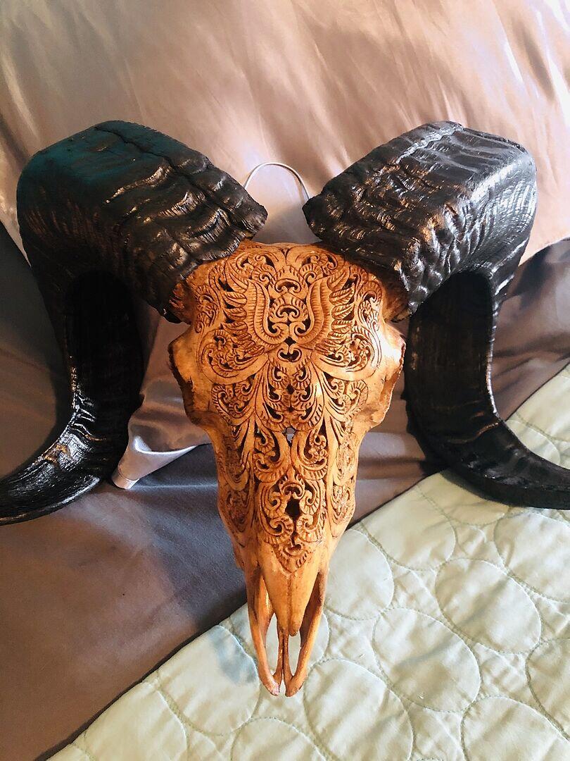 笑口瑪瑙スカル Hand Carved Ram Skull - Black Phoenix – Skull Bliss