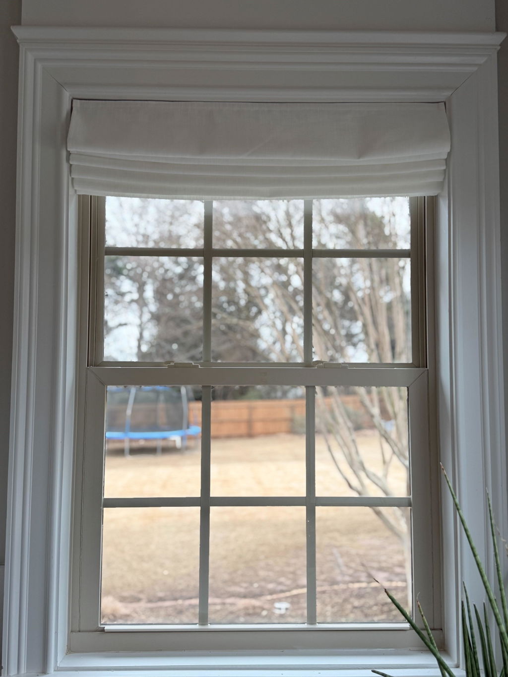 SmartWave Motorized Light Filtering Plain Fold Roman Shades 60% Blackout Pioneer