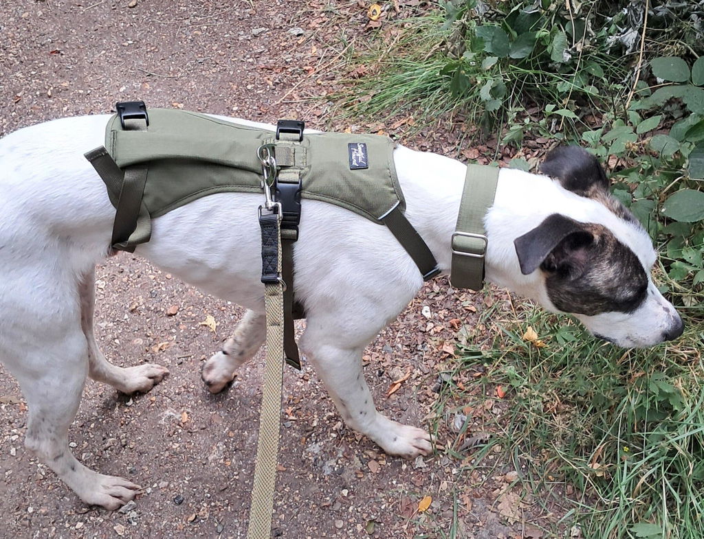 Lightweight Summer Harness for Sighthounds | Breathable, Comfortable & Escape Proof