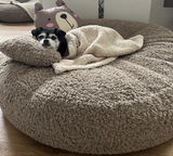 CURLY TEDDY