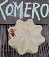 Foto de la reseña de kenia rojas cerpa