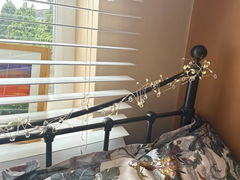 Review picture