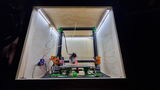 LED Strip 12V 2835 LED, 60 LEDs/m (2 watts/m) x 5m