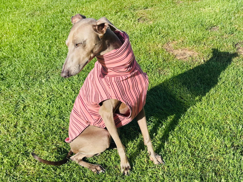 THE BEAU Jumper - Iggy Size