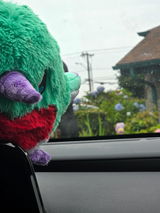 User picture