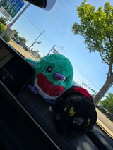 User picture