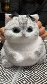 A02:Chubby British Shorthair Golden Shaded Squishy Cat