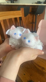 D04:Two angel cat as white as snow