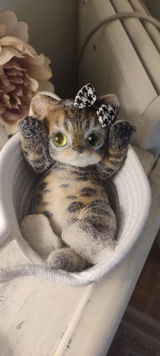 A10:(Bengal Leopard Cat) Super Special King Leo Slim Kitty
