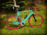 User picture