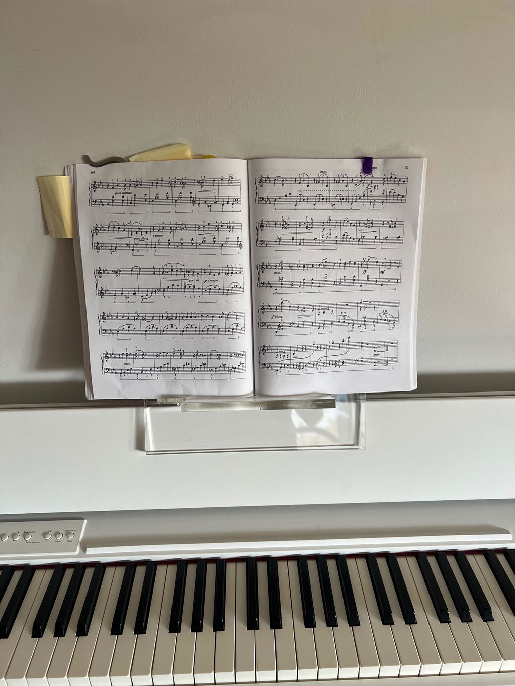 Modern Book Stand