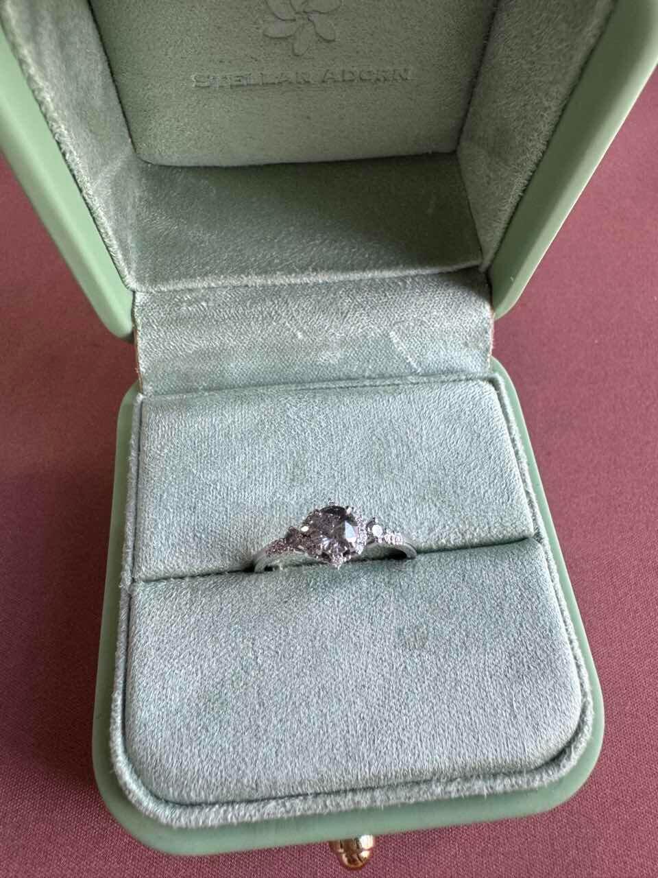 Juliet’s Jubilee | Vintage Sunflower Salt & Pepper Diamond Gold Engagement Ring