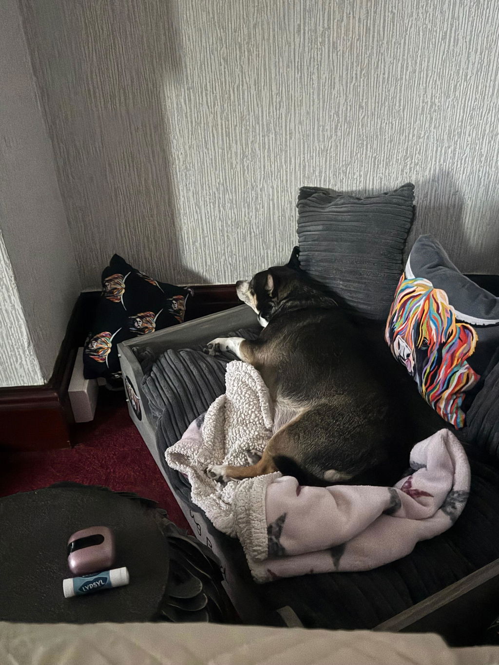 Heather McCoo - Luxury Wooden Dog Bed