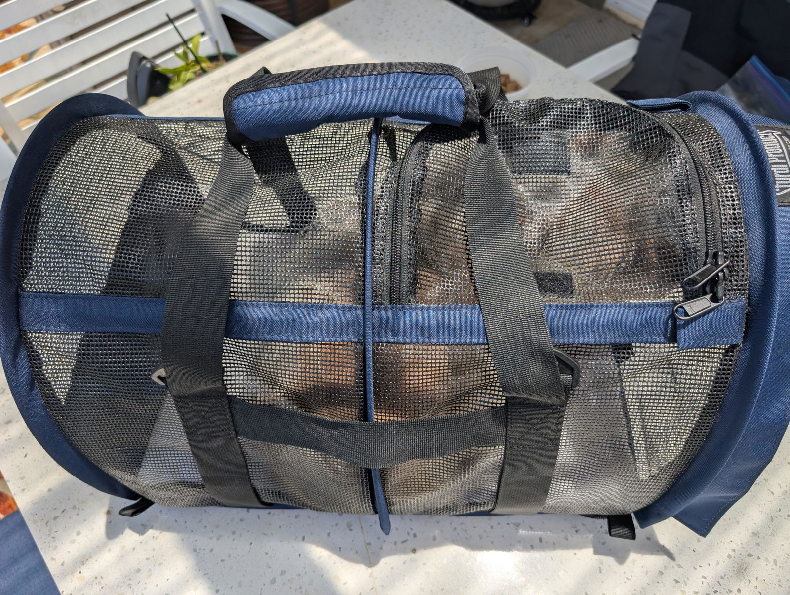 SturdiBag™ All Mesh | Airline-Approved Soft Cat & Dog Carrier