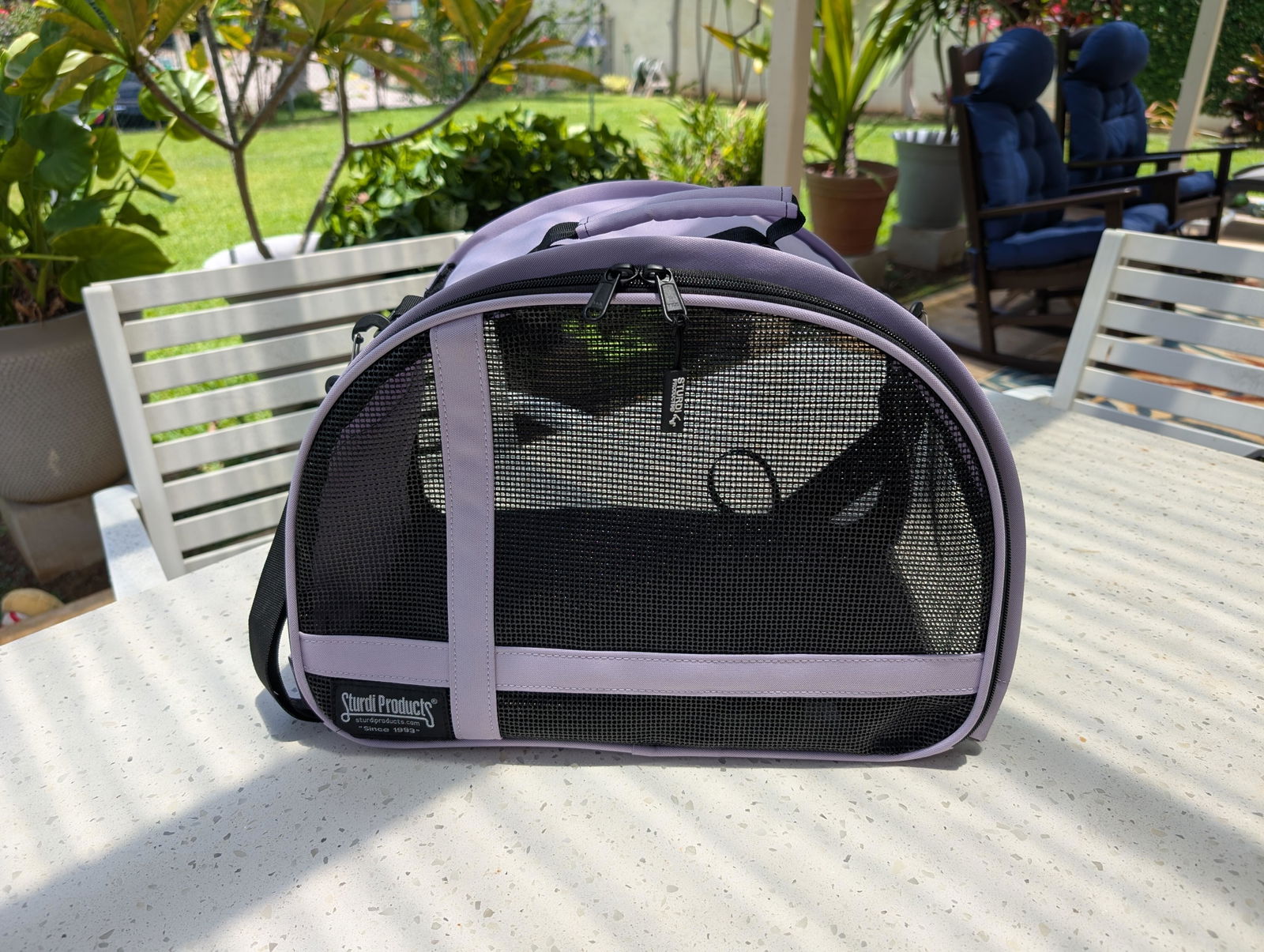 Totes'ter Compact Airline-Approved Carrier for Cats & Dogs