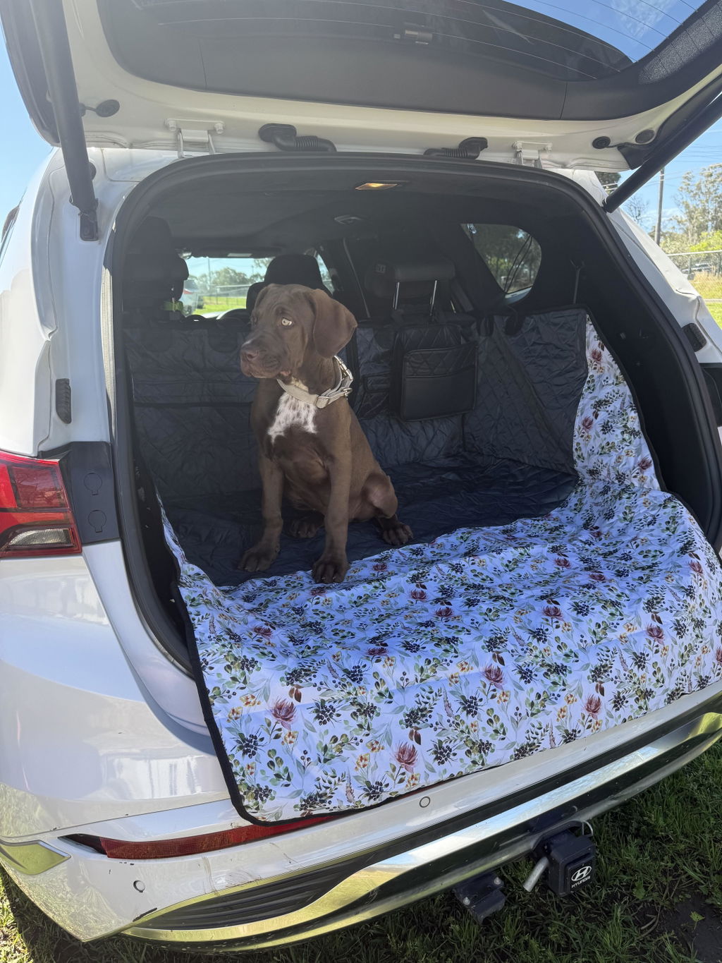 Evergreen Car Boot Cover with Drawstring Bag