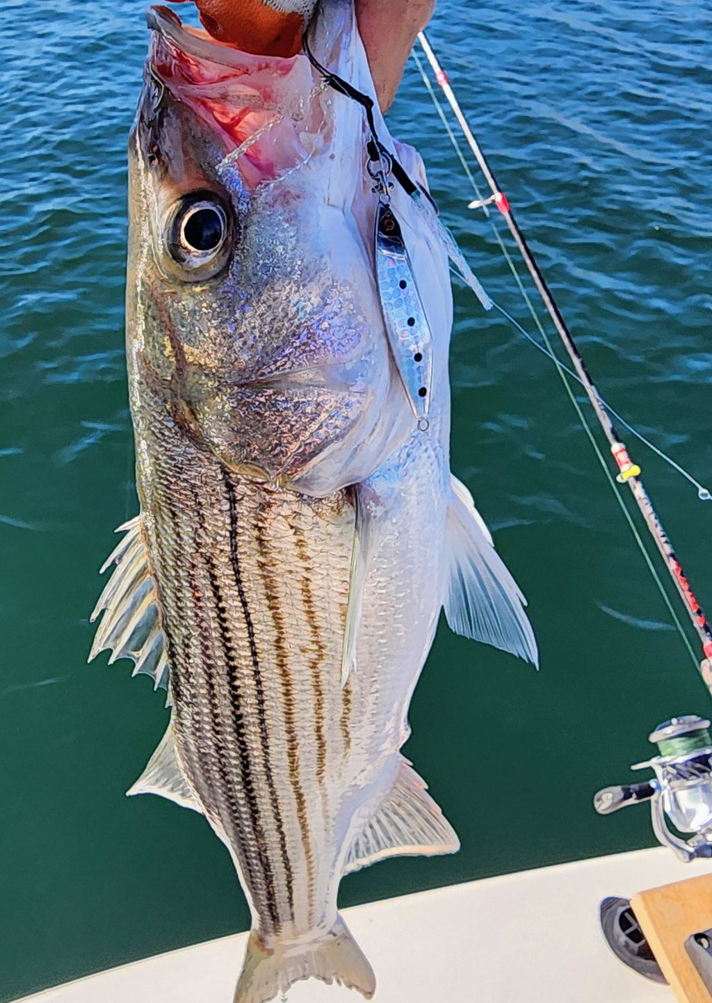 carved wooden fish hooks Hand-Carved Hawaiian Hook on Base – Wood Finish with Island Engra old Magic Bait, Sponge Catfish Kind:Offshore Structure Kit and a deep respect