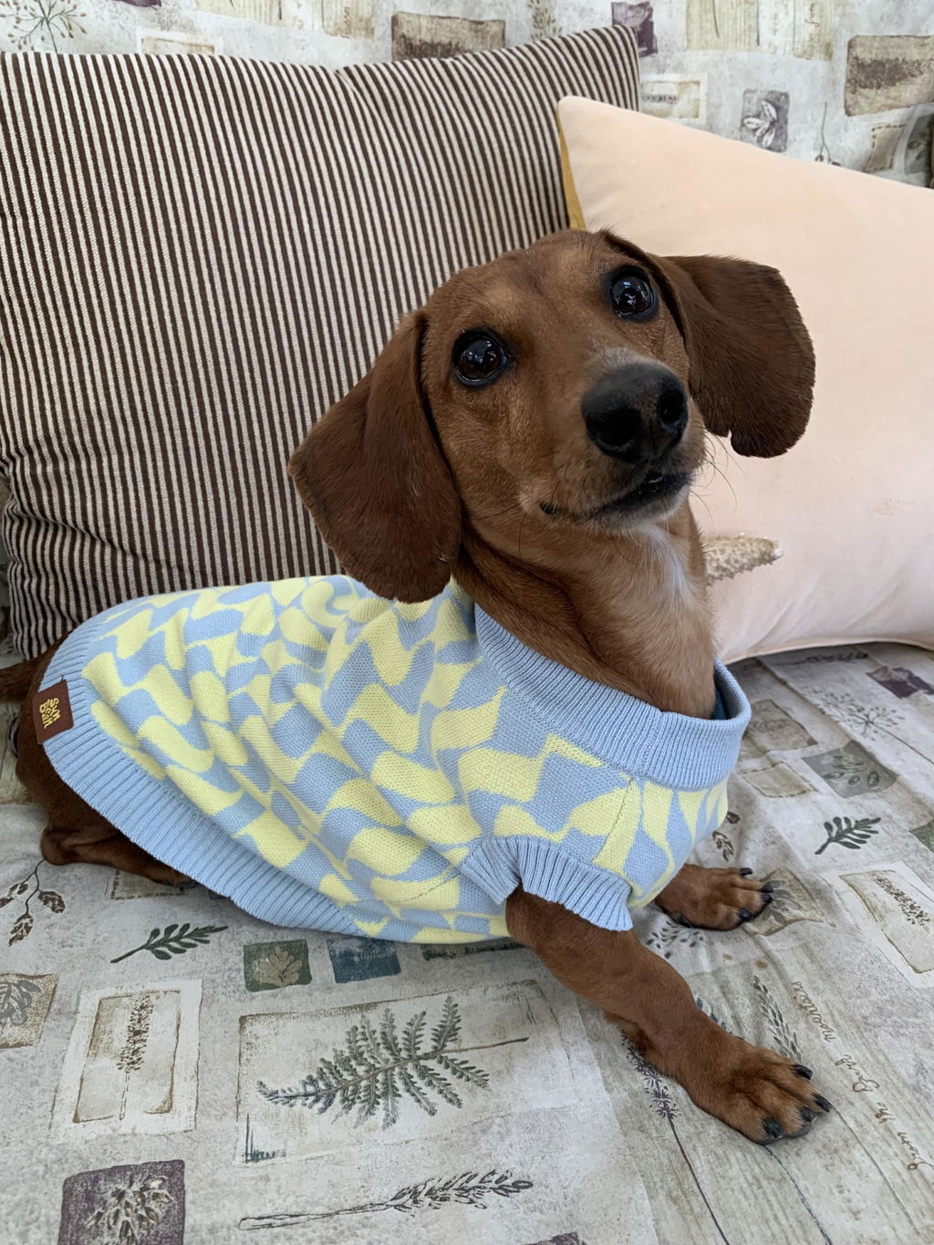 Seaside Swirl Cotton Knitted Dog Vest