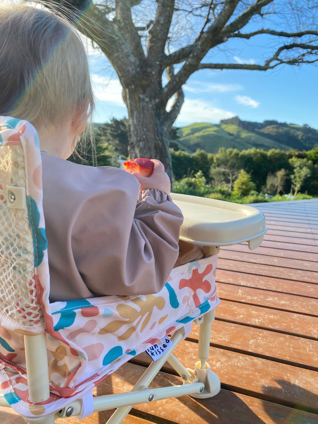 Portable Highchair | Ziggy