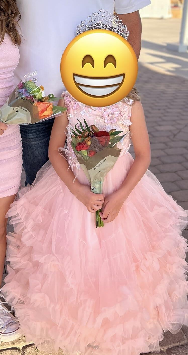 Sunnypetal Blush Pink Floral Appliqué Tulle Ball Gown Flower Girl Dress with Ruffle Layers