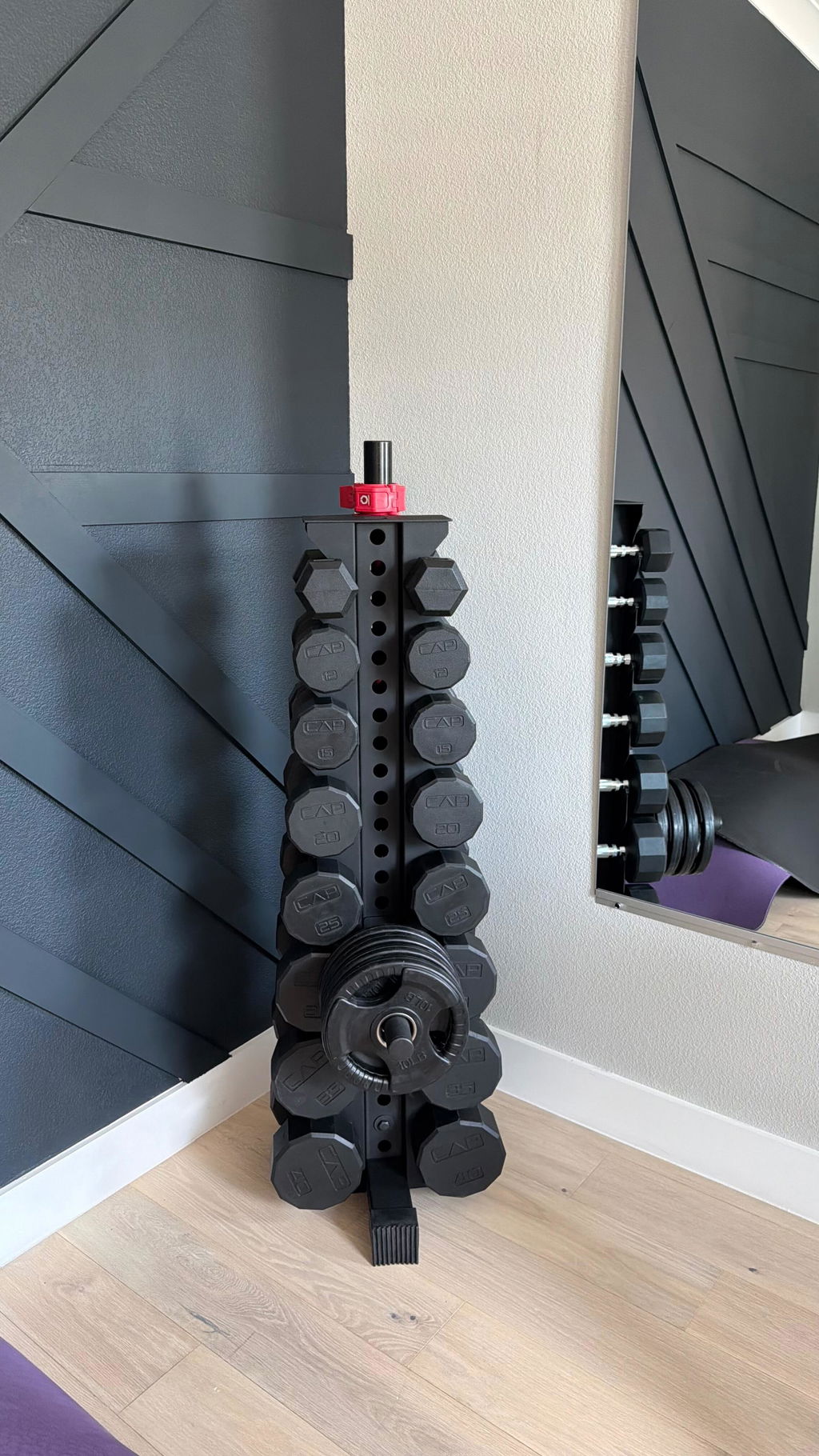 Alpha | 8-Tier Vertical Dumbbell Storage Rack