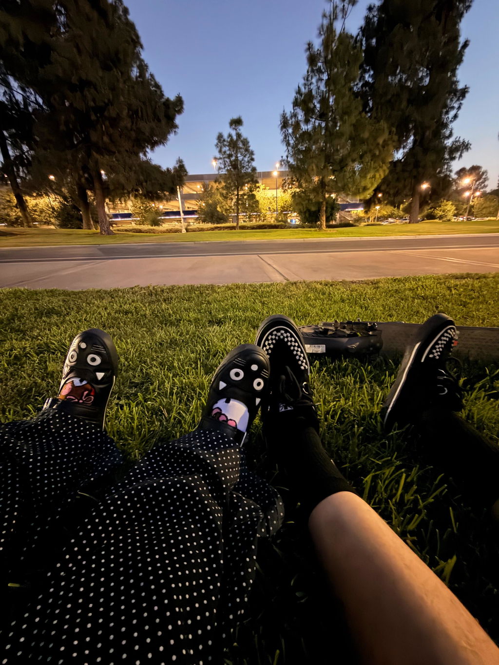 1781037969__img_1973__original