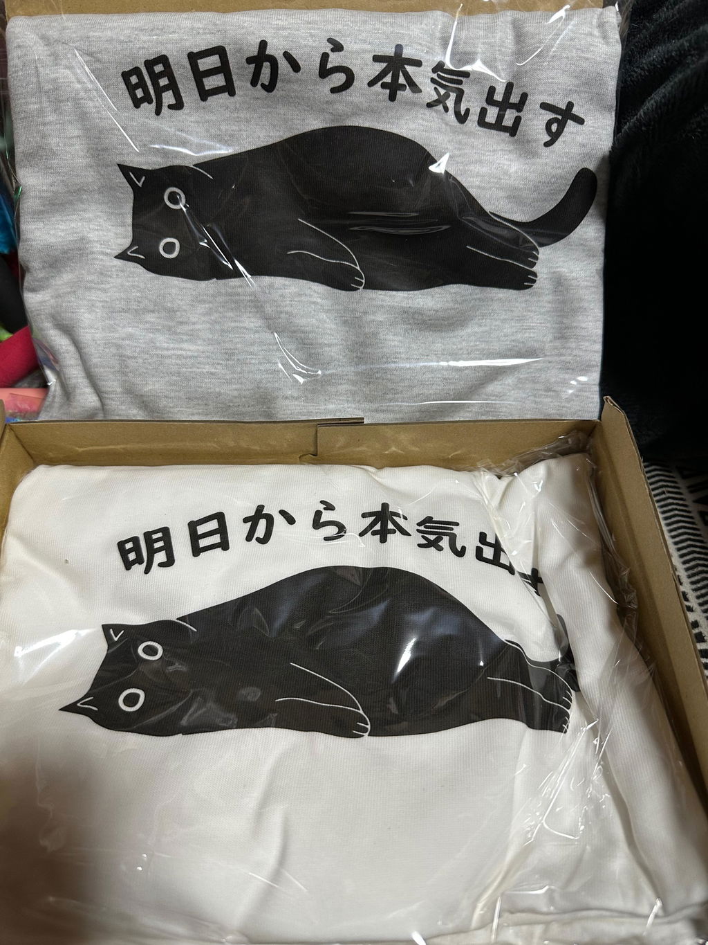 明日から本気出す 猫Tシャツ｜おもしろ猫デザイン