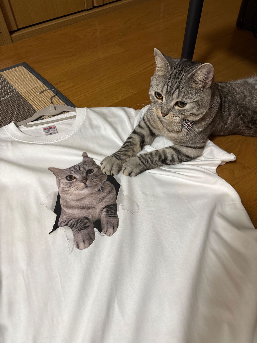 【写真入れ】中から飛び出す うちの子Tシャツ｜ペット（猫/犬）オリジナル｜誕生日・クリスマスギフトに最適