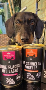 Ohne Flachs mit Lachs