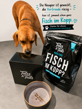 Noch ganz Fisch im Kopp?