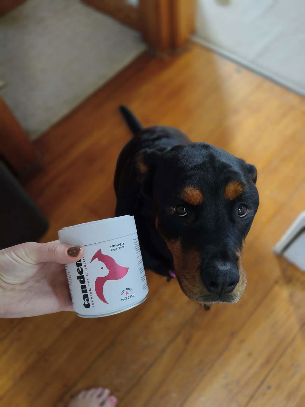 PRE+PRO Super Blend