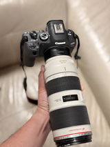 User picture