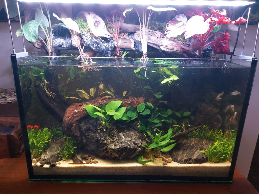 Chihiros B Series LED Aquarium Lighting