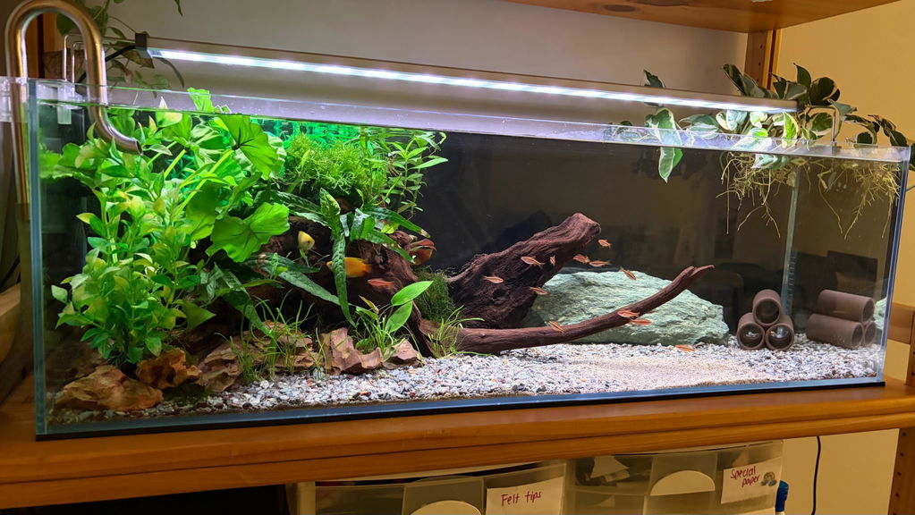 Chihiros B Series LED Aquarium Lighting