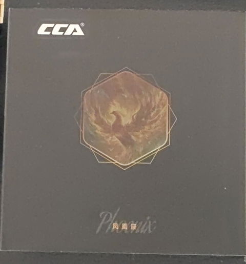 CCA Phoenix IEM