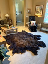 Bison (Buffalo) Hide / Robes