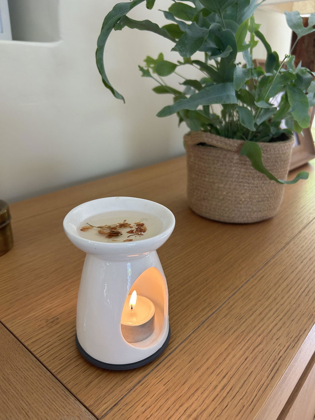 Jasmine with Gardenia Wax Melt Domes
