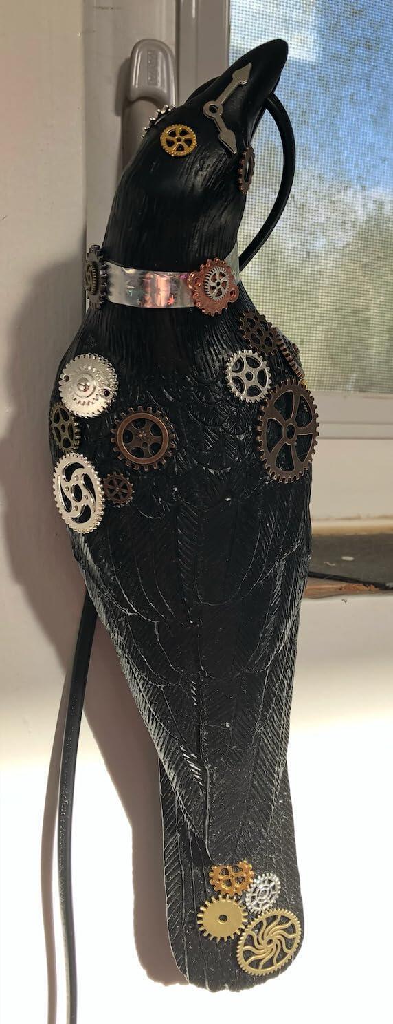 Customer photo