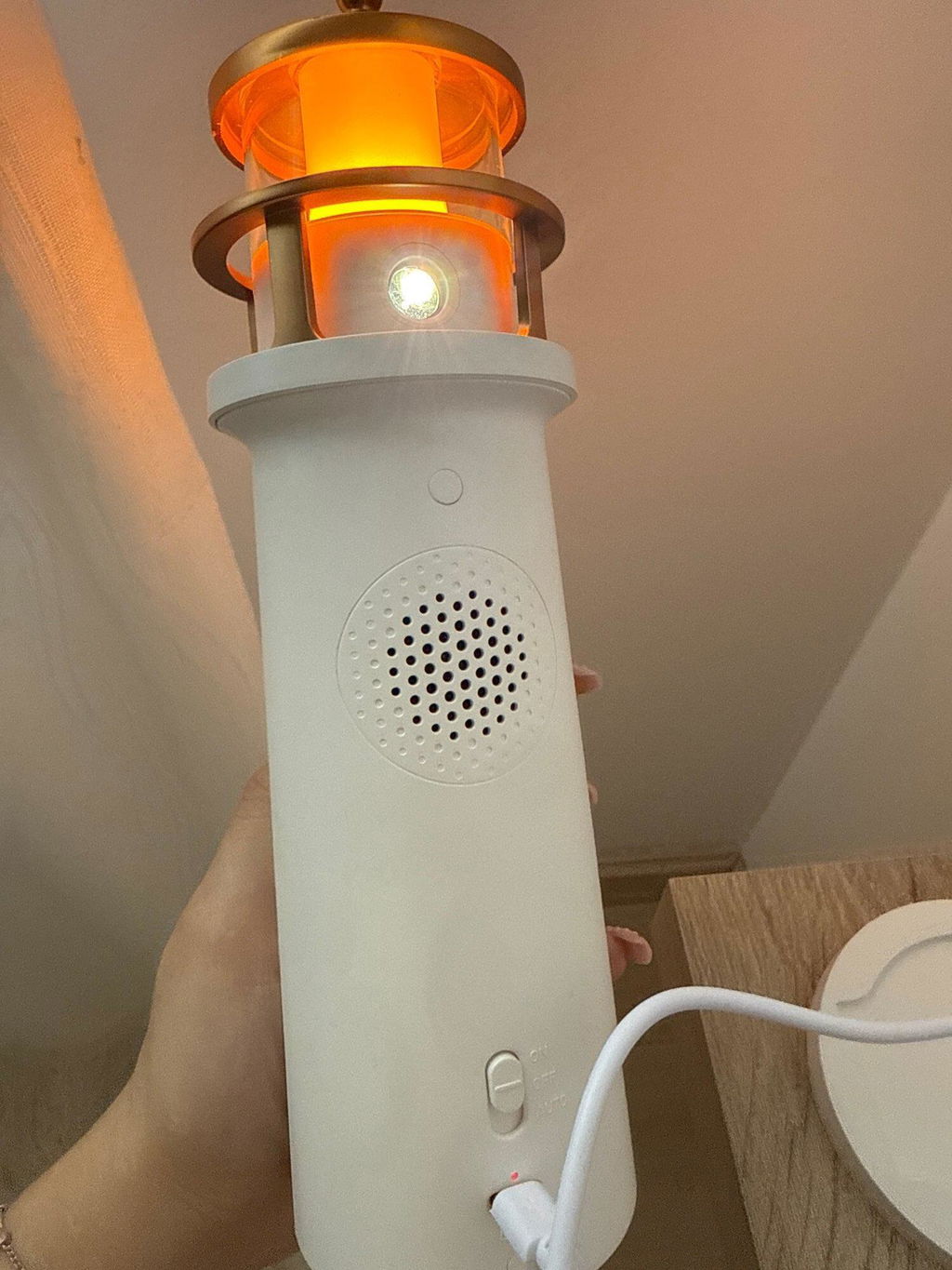 Customer photo