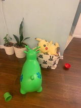 User picture