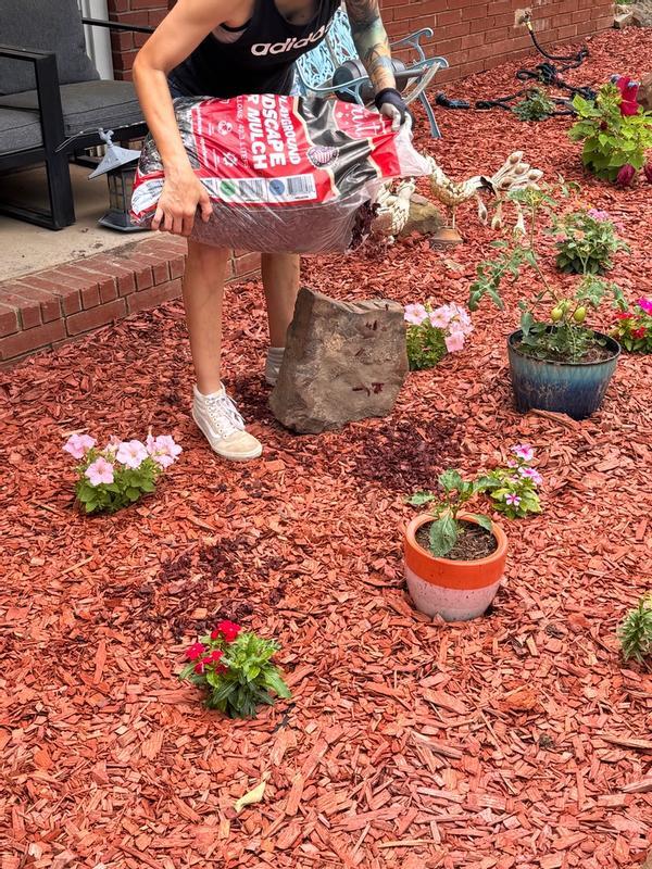 Natural Red Wood Playground Mulch