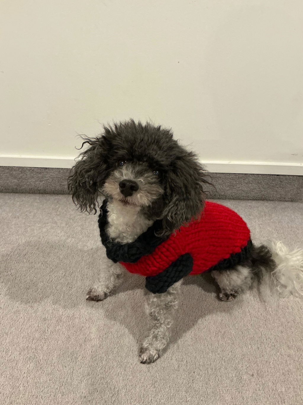 Chunky Funky Merino - Racing Car Red