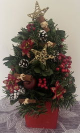 Star-struck Christmas Tree