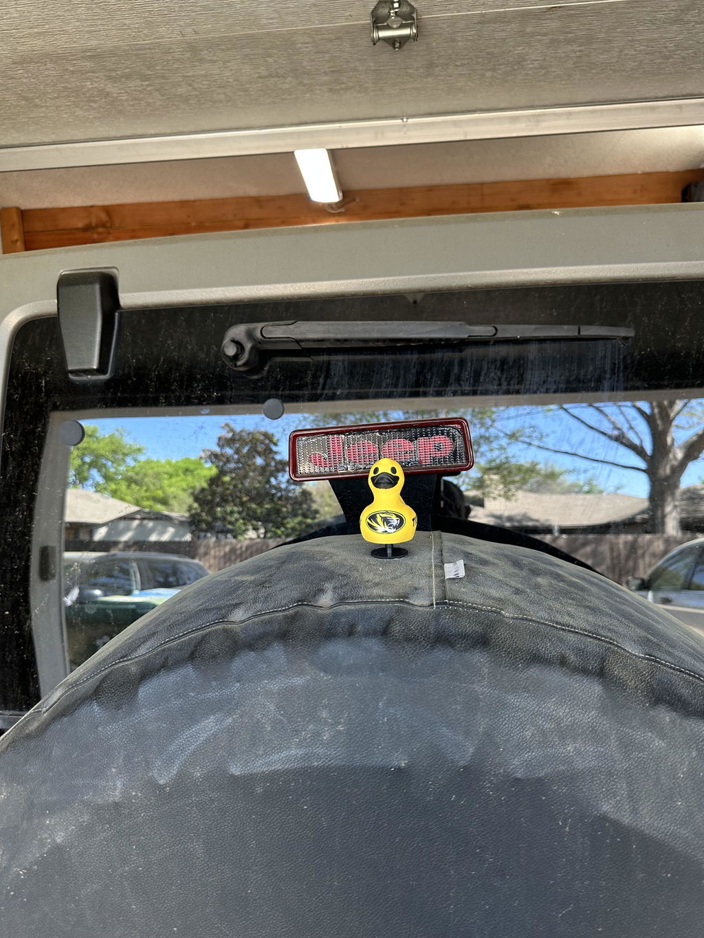 Missouri Tigers Duck