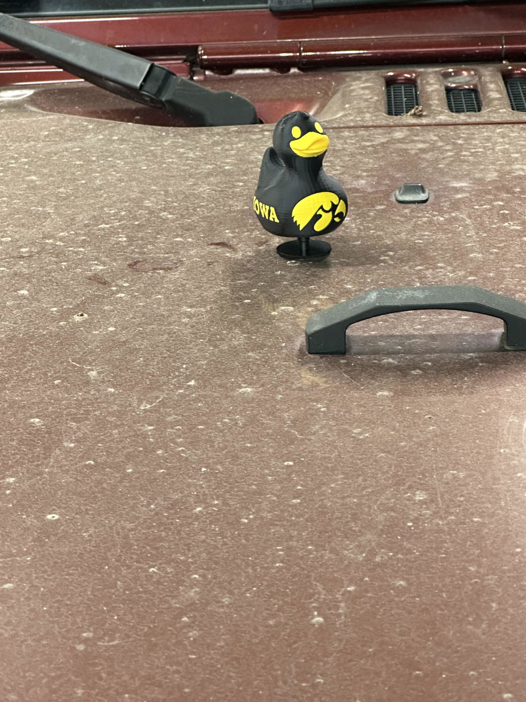 Iowa Hawkeyes Duck