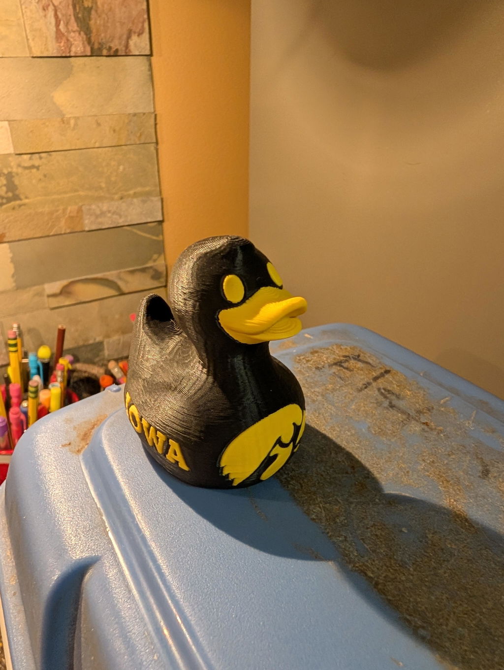 Iowa Hawkeyes Duck