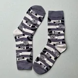 The Raccoon Bandit Sock