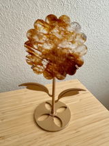 Crystal Candy