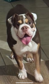 User picture